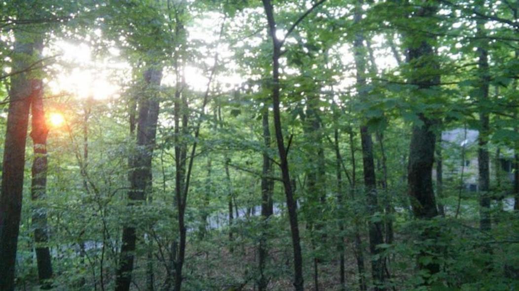 Wintergreen Mount Torry Furnace 外观 照片