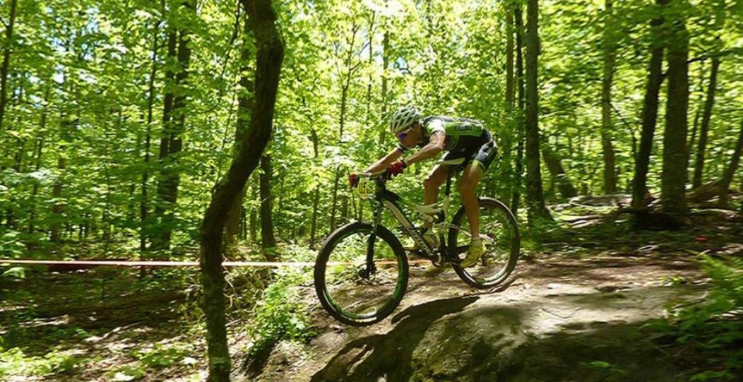Wintergreen Mount Torry Furnace 外观 照片